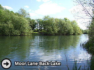 Moor Lane Back Lake